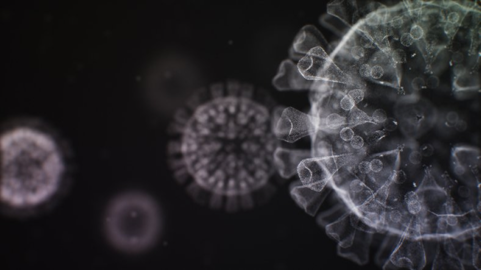 증상 01.png