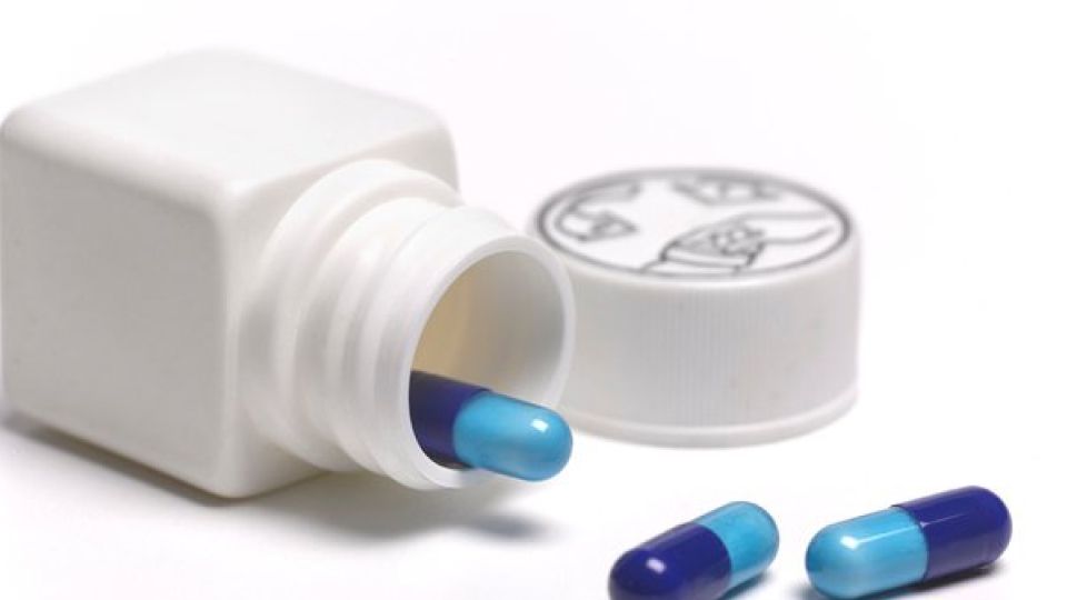 제니칼 01.jpg