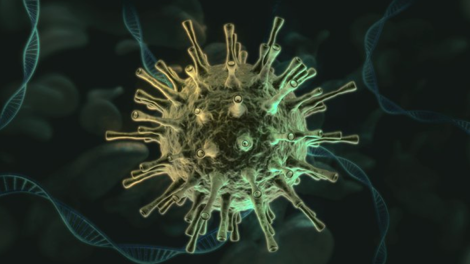 검사 01.png