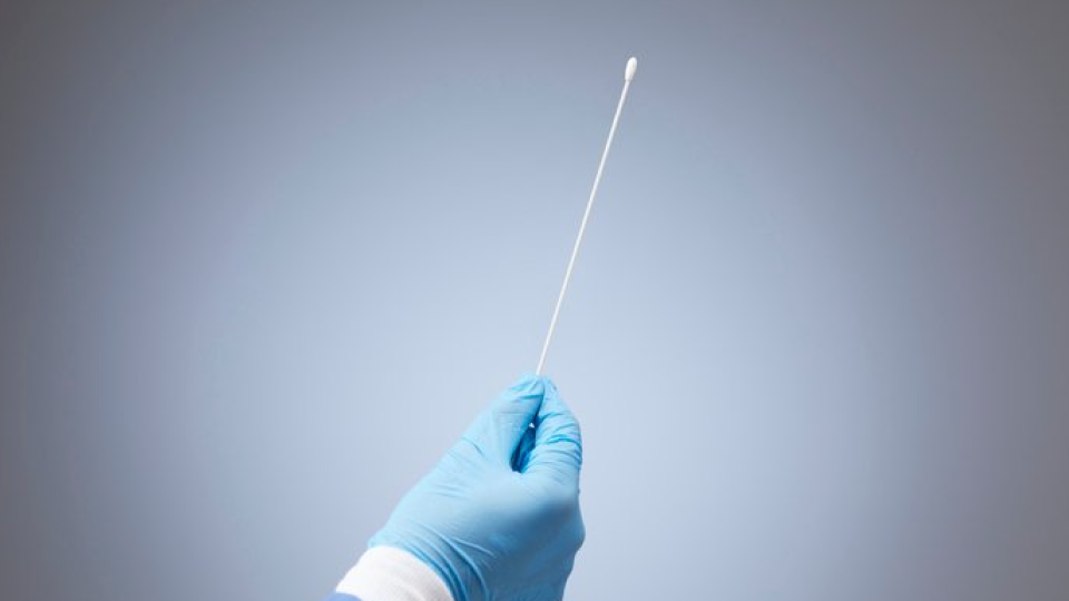 검사 02.png