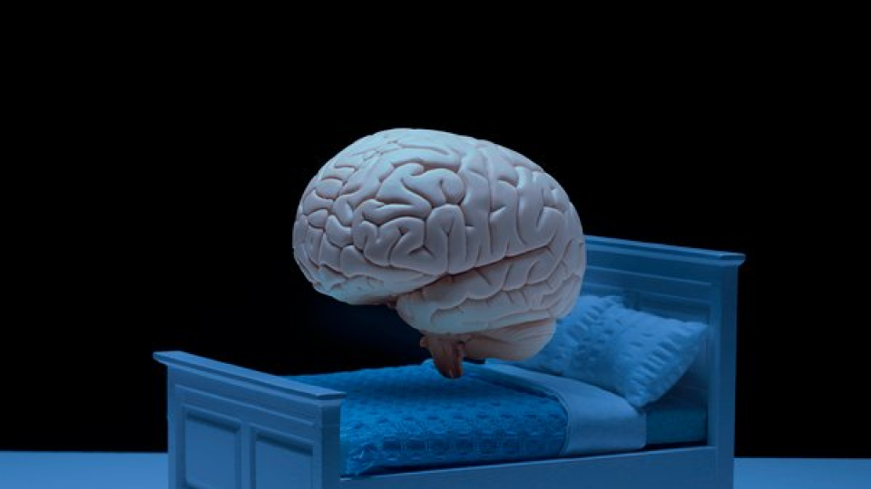 큐시미아 02.png