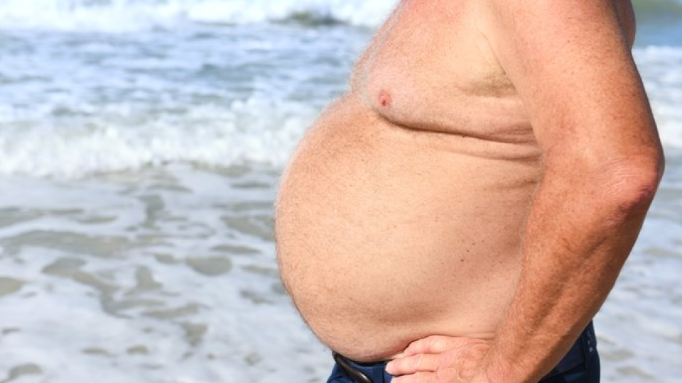 비만 02.png