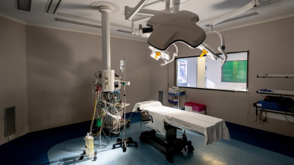 피나온 02.png