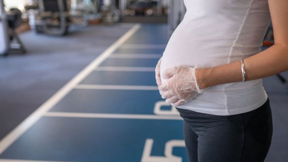 제니칼 03.jpg