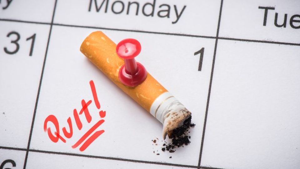 금연,금연상담,금연지원,흡연율,금연보조제,금연정책,성인남성흡연율