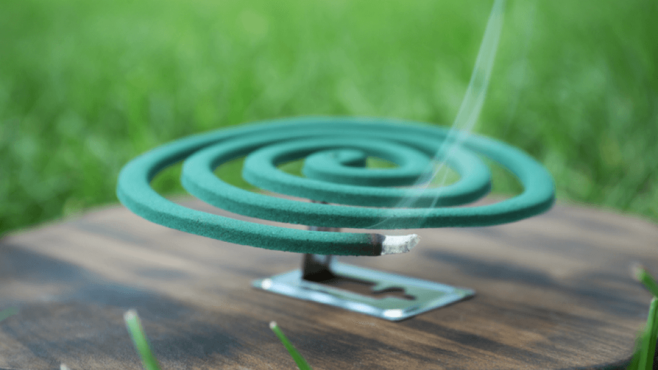 건강꿀팁 본문 이미지 (15).png