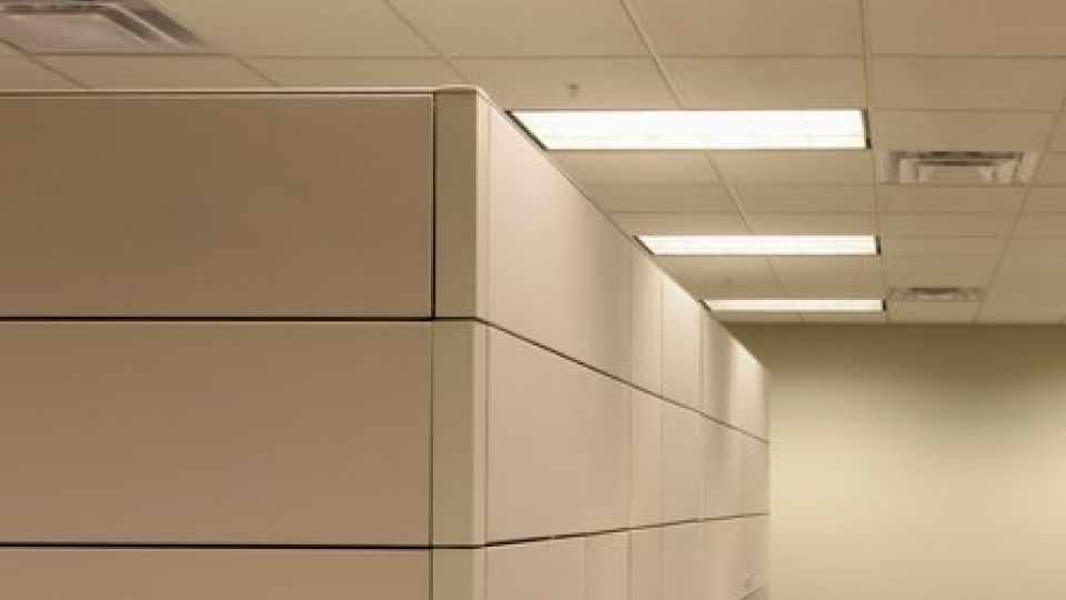 햇빛, 햇빛알레르기, 알레르기, 발진, 가려움증, 비타민D, 나만의닥터, 비대면진료