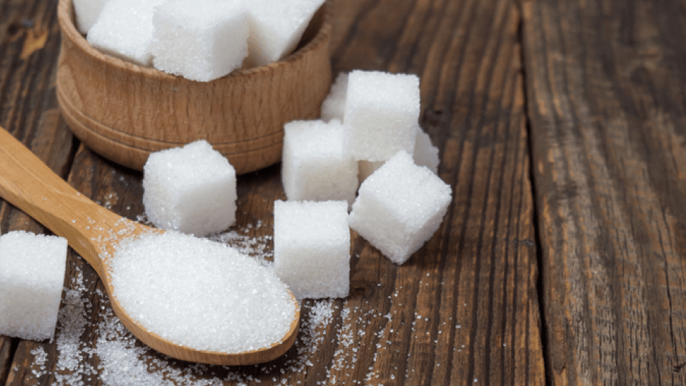 건강꿀팁 본문 이미지 (19).png