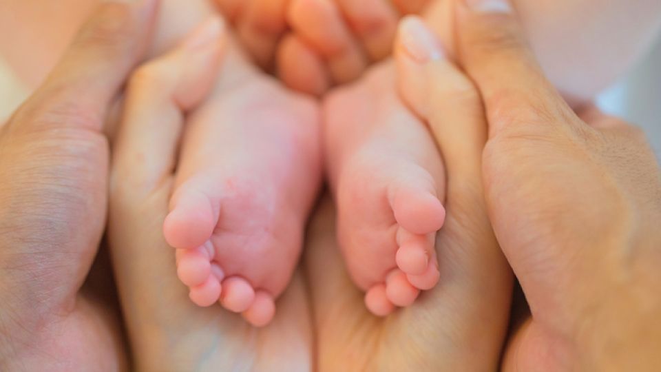 신생아, 발달, 성장, 아기안전, 이유식, 신생아예방접종