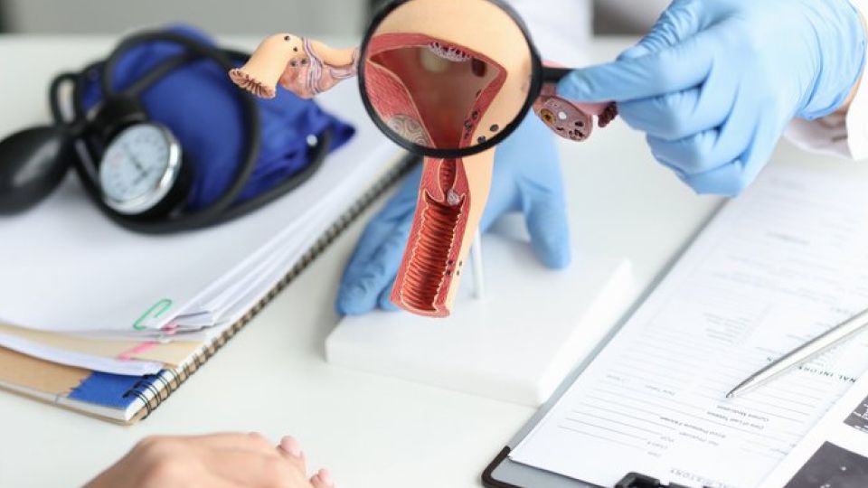 다낭성난소증후군,여성질환,비대면진료,생리불순,불임,월경불순,여드름,다모증,무월경,자궁출혈