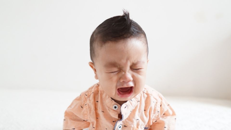 아이행동, 떼쓰기, 깨물기, 아이거짓말, 훈육