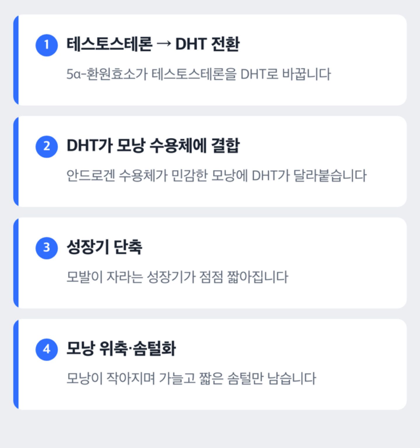 안드로겐성탈모의 DHT 작용 과정을 보여주는 도해