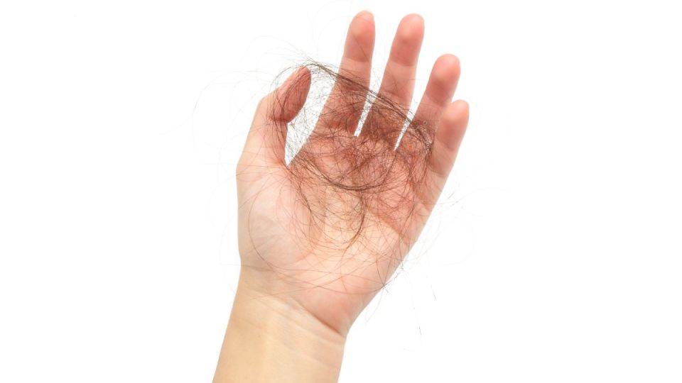 탈모약부작용,탈모약중단,탈모약성기능,탈모치료,탈모증상,탈모원인,탈모,비대면탈모,탈모관리,연모화