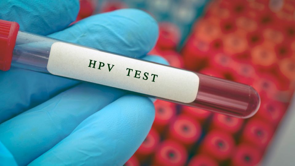 HPV, HPV바이러스, 인유두종바이러스, HPV예방, 자궁경부암