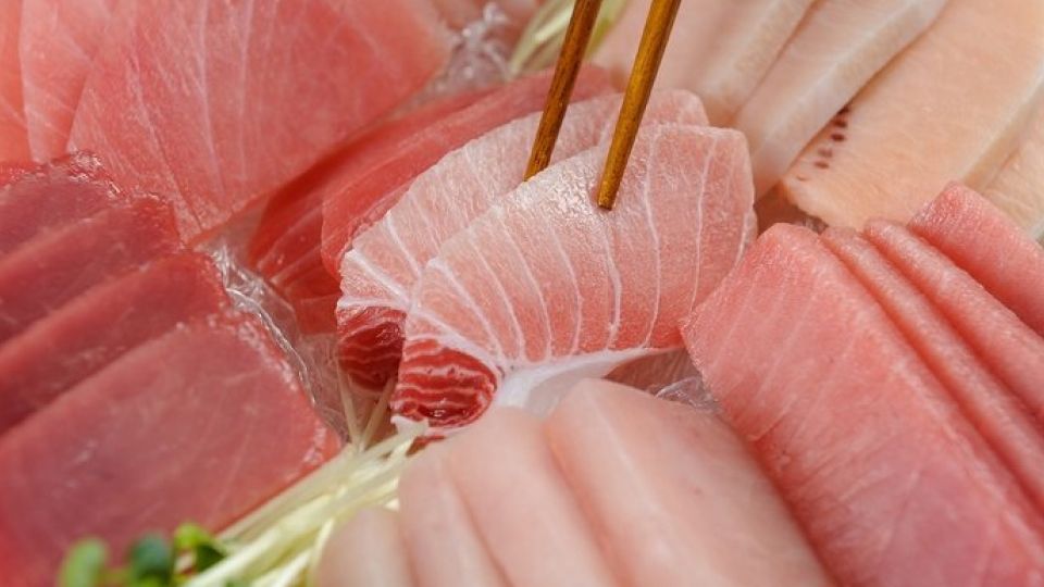 여름철회, 식중독, 와사비, 여름회, 비브리오패혈증