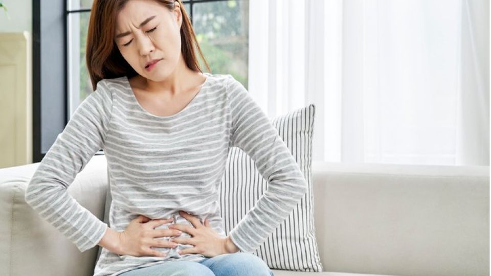 고지혈증 (1).jpg