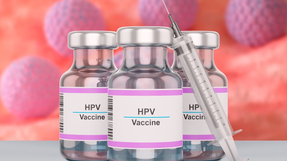 가다실, 성병, 자궁암, 자궁경부암, 가다실접종, hpv, 인유두종바이러스, 질암, 항문암, 곤지름