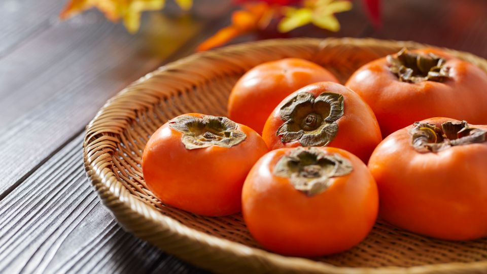 식사시간 (1).jpg