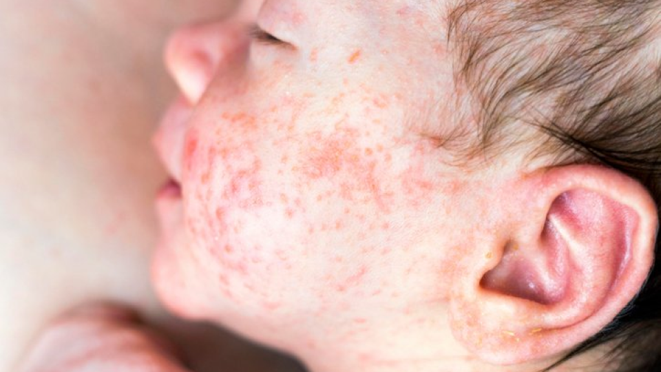 기준 -1.png