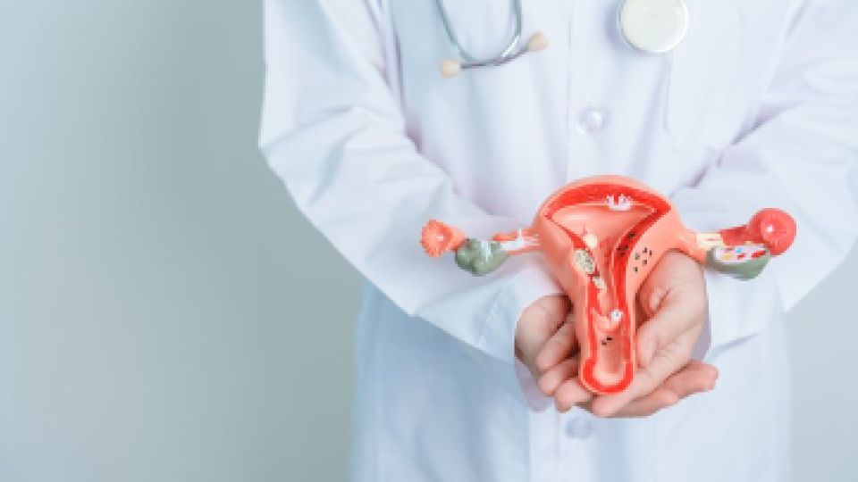 자궁경부암, HPV, 가다실, 자궁경부암 백신, HPV 9가, HPV 4가