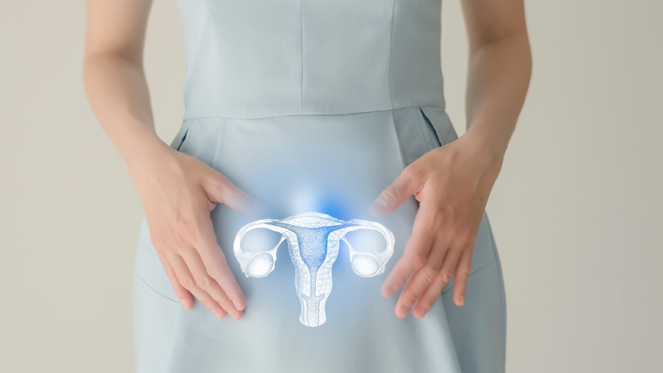 자궁경부암, 위험성, 원인, 검사, 정의