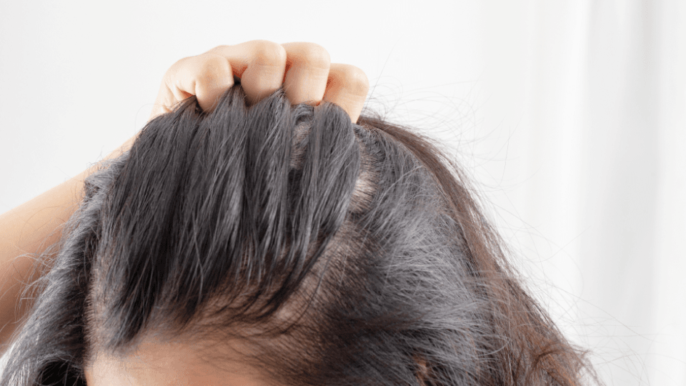 건강꿀팁 본문 이미지-1.png