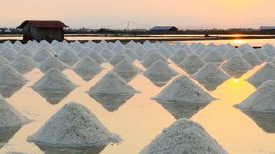 나트륨, 천일염, 정제염, 고혈압, 신장문제, 골다공증, 체중증가