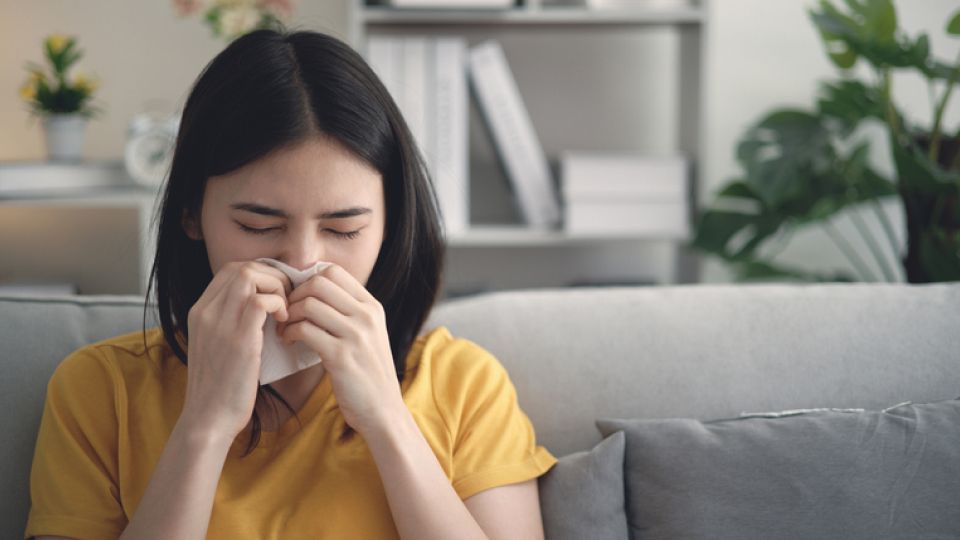 비염,아토피,비염유전,아토피유전,알레르기비염,아토피비염,봄비염,비염원인,아토피원인