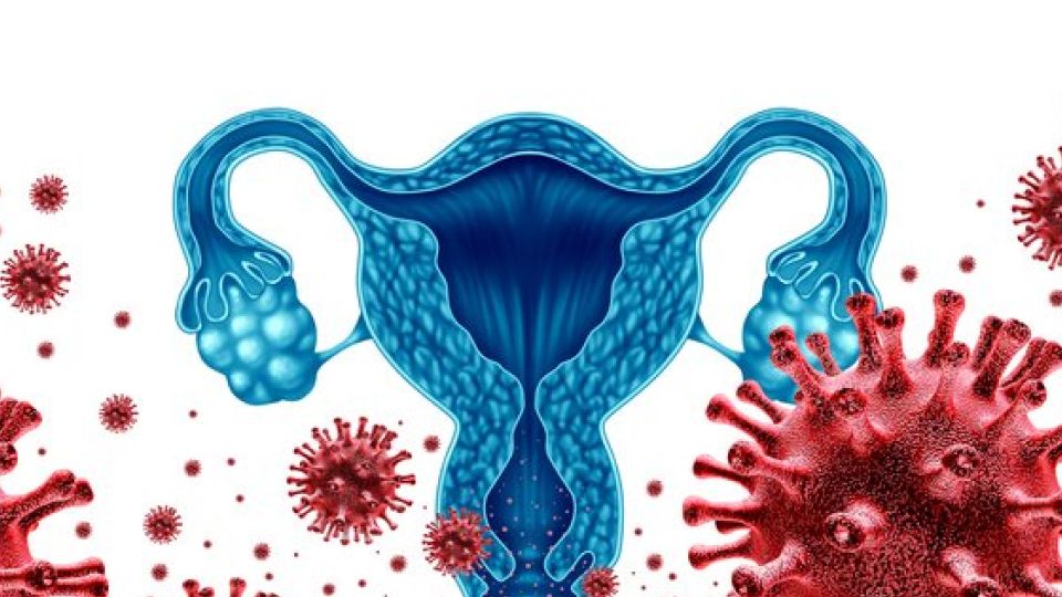 가다실,가다실9,가다실9가,가다실남자,가다실여자,가다실성인,가다실청소년,가다실20대,가다실30대,가다실40대,가다실9,나만의닥터,나만의닥터가다실,가다실최저가,가다실할인,가다실제로페이,가다실가격할인,가다실비쌈,가다실병원,가다실최저가병원,가다실싼병원,가다실대학생,가다실나만의닥터