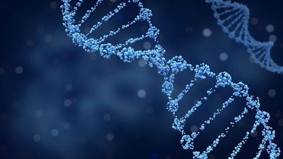 고혈압합병증,고혈압치료,고혈압합병증예방법,고혈압위험성,고혈압위험인자,고혈압원인,고혈압예방,고혈압비대면진료