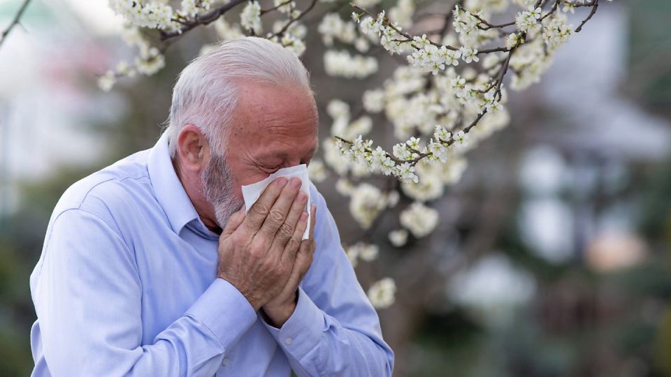 나만의닥터, 비대면진료, 꽃가루알레르기, 봄철알레르기, 알레르기치료법, 알레르기원인, 알레르기치료, 알레르기예방법