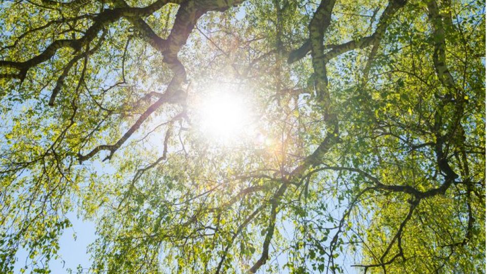 나만의닥터, 비대면진료, 햇빛알레르기, 햇빛알레르기원인, 햇빛알레르기증상, 햇빛알레르기예방, 햇빛알레르기치료, 햇빛알레르기대처법, 햇빛알레르기예방법, 햇빛알레르기치료법, 햇빛알레르기이유