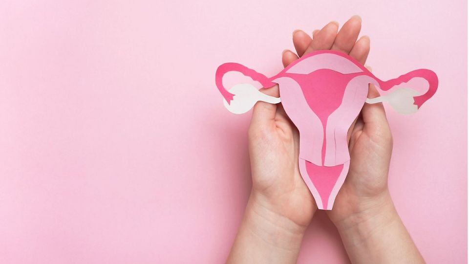 갱년기, 갱년기증상, 폐경, 폐경대처, 갱년기약, 갱년기극복, 갱년기극복법,