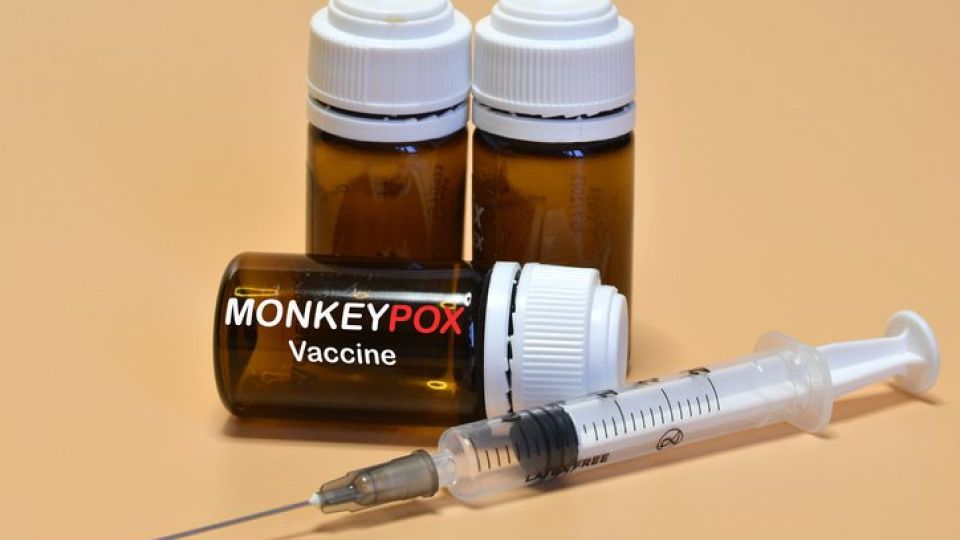 엠폭스,원숭이두창,원숭이두창증상,원숭이두창원인,엠폭스증상,엠폭스원인,엠폭스치료법,원숭이두창감염