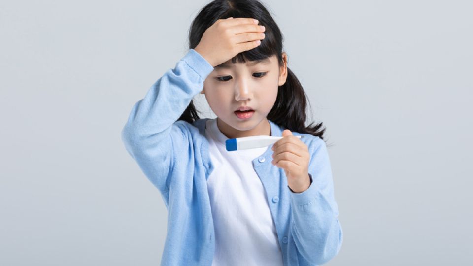 아데노바이러스,호흡기질환,아데노바이러스증상,아데노바이러스원인,아데노바이러스치료,눈곱감기,아데노바이러스예방법,감기