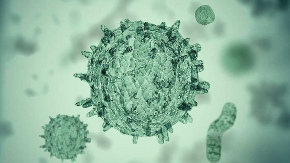 나만의닥터, 비대면진료, 전립선염, 만성전립선염, 전립선염증상, 전립선염원인, 전립선염치료, 만성전립선염증상, 전립선염완치, 비세균성전립선염, 세균성전립선염, 전립선염비뇨기과