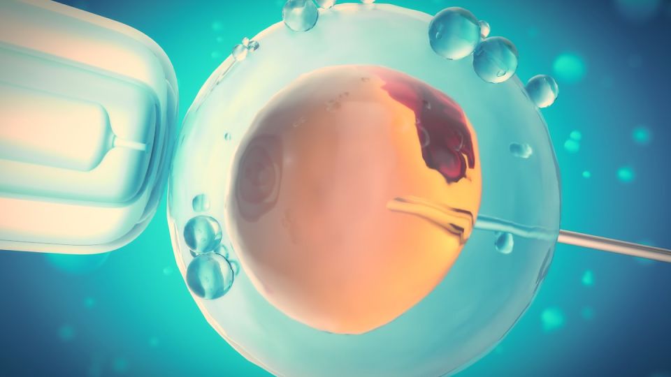 난임,나만의닥터,불임,인공수정,체외수정,비대면난임치료,산부인과,비대면산부인과,난임치료,난임치료법