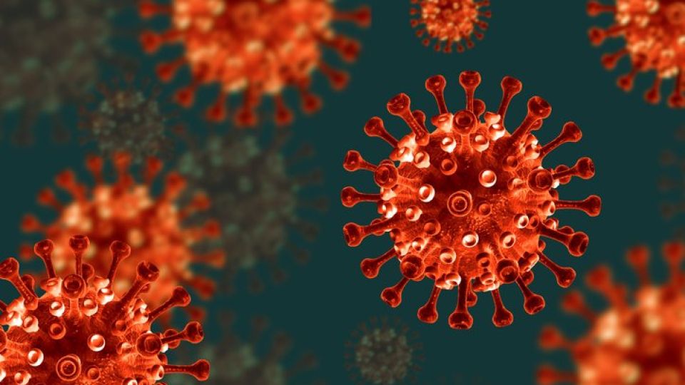 가다실, 성병, 자궁암, 자궁경부암, 가다실접종, hpv, 인유두종바이러스, 질암, 항문암, 곤지름