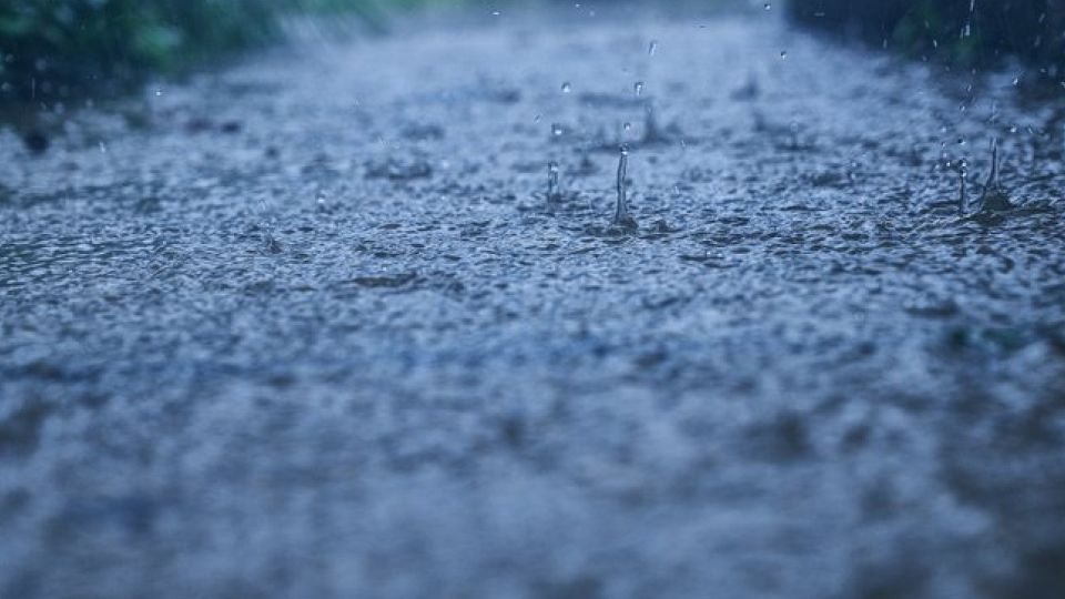 기상특보, 폭염, 호우, 태풍, 건조, 강풍, 풍랑, 폭풍해일, 지진해일, 대설, 한파, 황사, 화산재, 경보, 특보, 주의보, 날씨