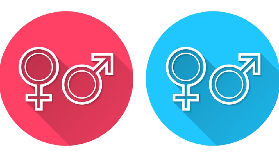 HPV, HPV바이러스, 인유두종바이러스, HPV예방, 자궁경부암