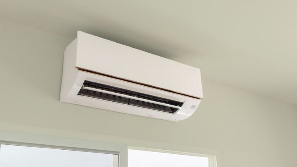 독감, 감기, 인플루엔자, 코로나, 코로나19, 면역력, 감염, 바이러스