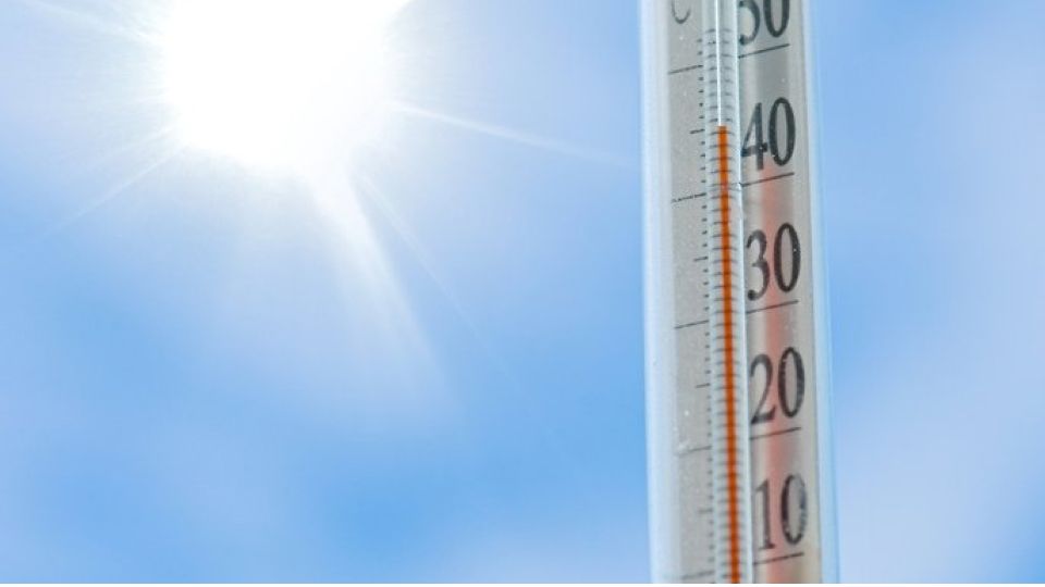 재채기,재채기반사,햇빛,햇빛재치기반사,아츄,아츄증후군