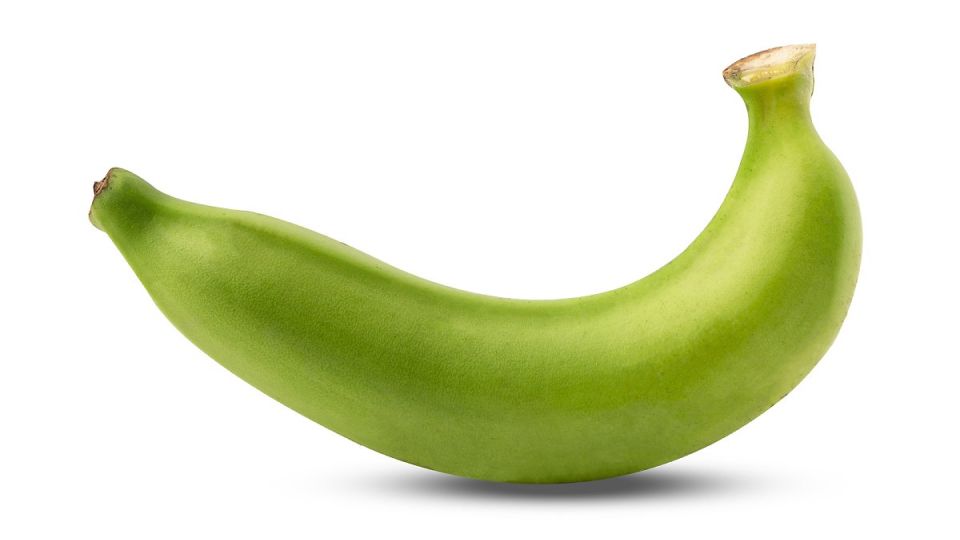 나만의닥터, 비대면진료, 바나나, 다이어트, 변비, 항산화, 항암, 프리바이오틱스, 발효, 건강, 식이섬유, 영양소