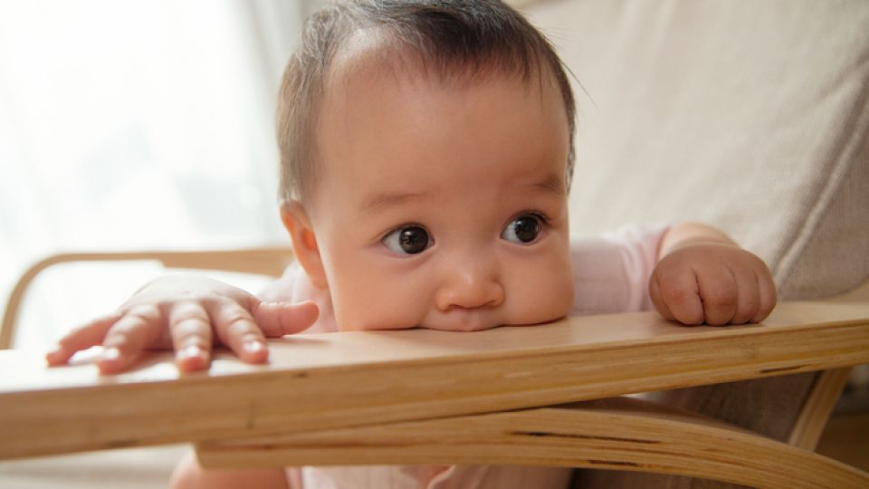 아이행동, 떼쓰기, 깨물기, 아이거짓말, 훈육