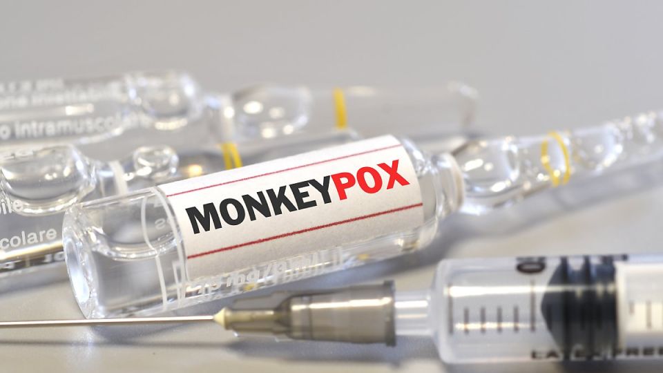 나만의닥터, 비대면진료, 원숭이두창, 원숭이, WHO, 풍토병, 수두, 원숭이두창증상, 원숭이두창확진자, 원숭이두창치료, 코로나새변이