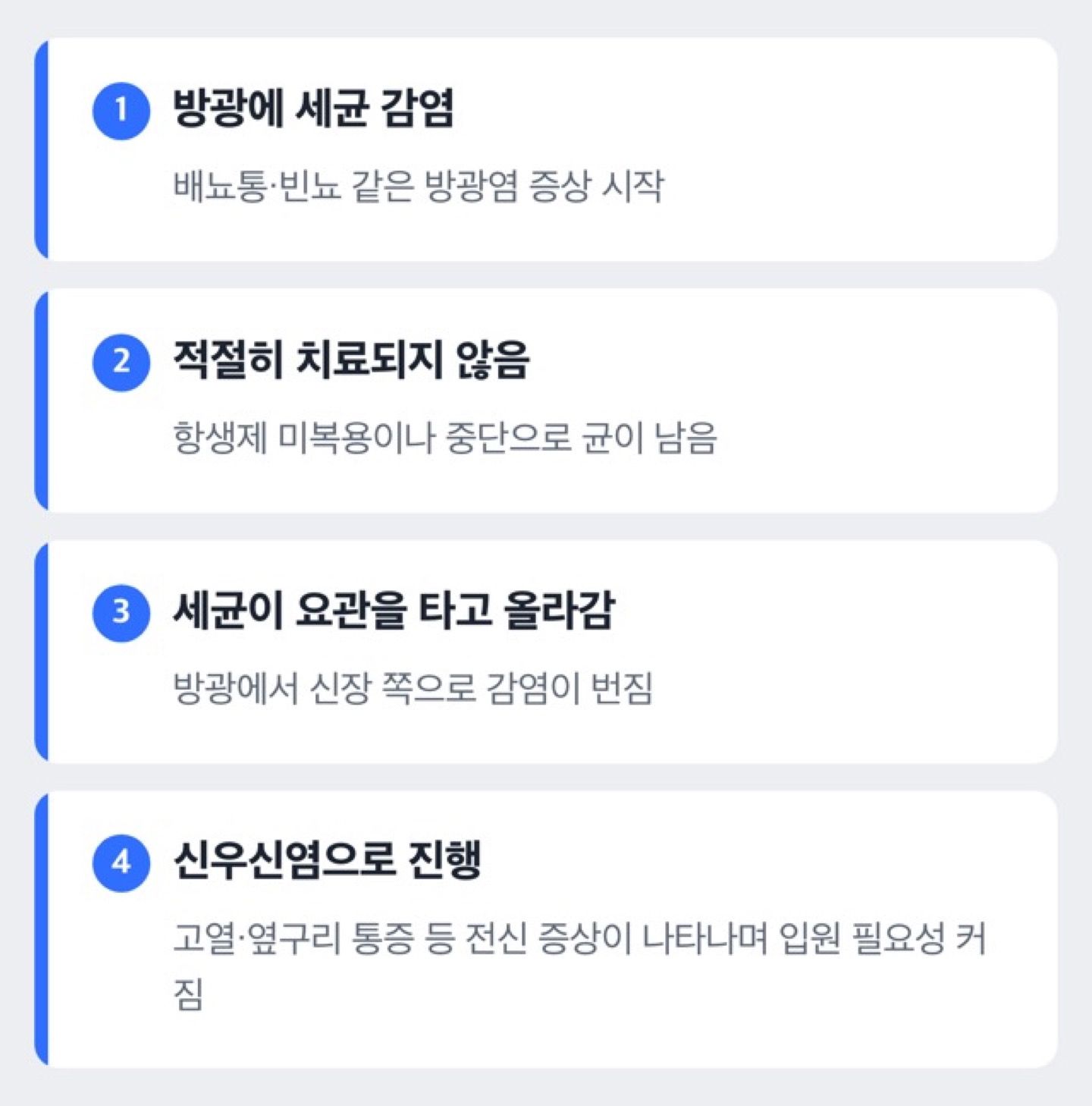 방광염이 신우신염으로 진행하는 경로를 보여주는 도해
