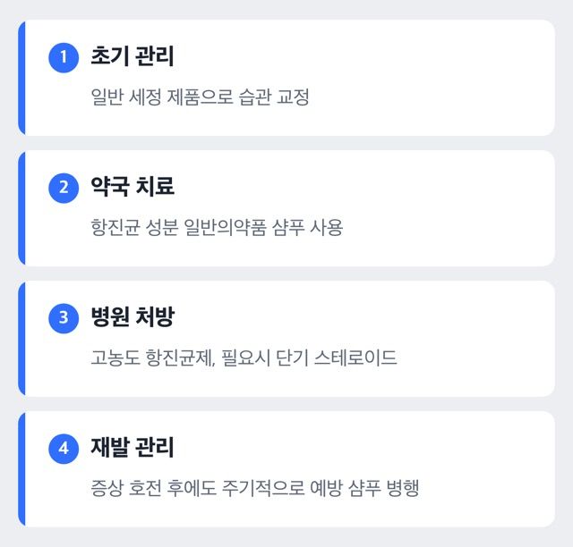 비듬 치료 단계를 보여주는 도해