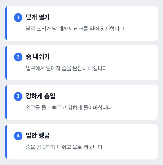 세레타이드 디스커스 사용 순서 도식