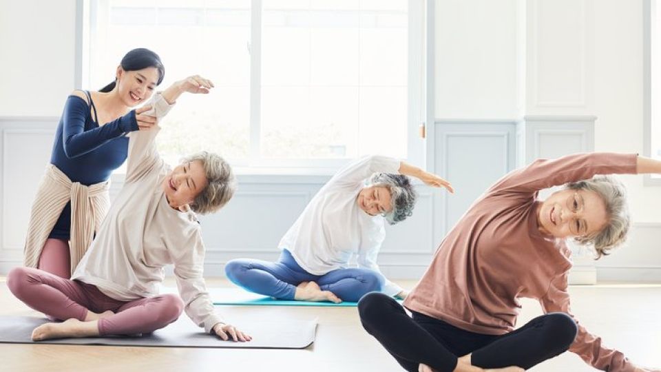 만성질환, 노인, 노인질환, 나만의닥터, 비대면진료, 비대면진료어플, 비대면진료앱, 원격진료, 약국배달, 약배달, 약배송, 건강상식, 건강정보, 건강꿀팁