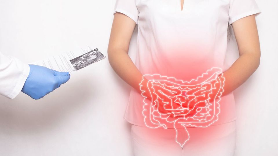 나만의닥터, 비대면진료, 바나나, 다이어트, 변비, 항산화, 항암, 프리바이오틱스, 발효, 건강, 식이섬유, 영양소